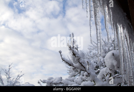 Eiszapfen hängen von einer Rinne mit Laub und Himmel im Hintergrund Stockfoto