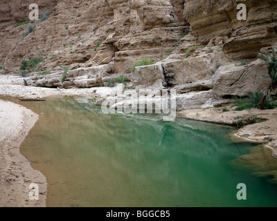 Klaren, türkisfarbenen Wasser des Wadi Shab Stockfoto