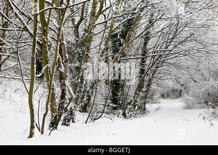 London, England, 6. Januar 2010: schwere Schnee auf einem Radweg in Muswell Hill Stockfoto