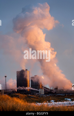 Britische Stahlindustrie Werk Industrial site Koksöfen. Stahlwerk emitting Dampfwolke in Middlesbrough, Redcar, Teesside, North Yorkshire UK Stockfoto