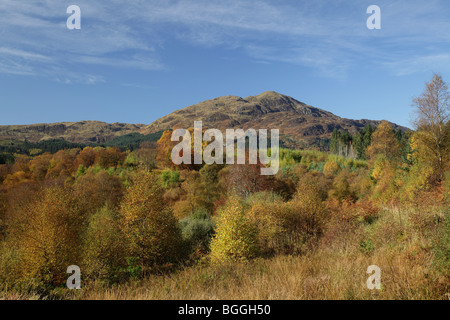 Ben Venue im Herbst, ein Graham im Loch Lomond and Trossachs National Park, Stirling, Schottland, Großbritannien Stockfoto