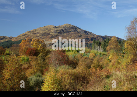 Ben Venue im Herbst, ein Graham im Loch Lomond and Trossachs National Park, Stirling, Schottland, Großbritannien Stockfoto