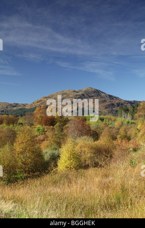 Ben Venue im Herbst, ein Graham im Loch Lomond and Trossachs National Park, Stirling, Schottland, Großbritannien Stockfoto