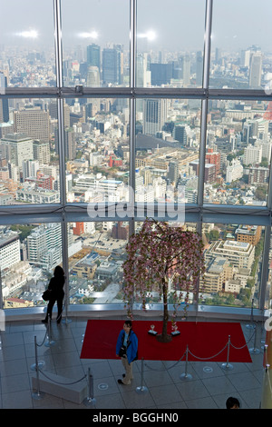 Blick auf Tokyo von einer Aussichtsplattform im Mori Tower, Tokyo, Japan Stockfoto
