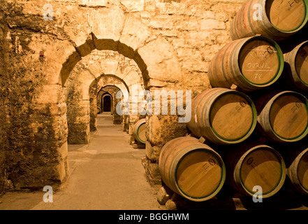 Weinfässer in einem Weinkeller, La Rioja, Spanien Stockfoto