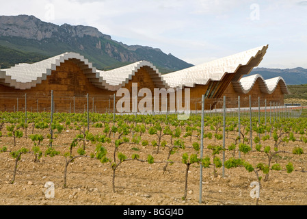 Weingut Gebäude und Weinberg, Laguardia, Spanien Stockfoto