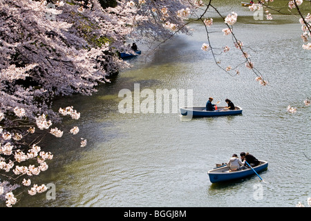 Menschen in Ruderboote in einem Park, Tokio, Japan, hohen Winkel anzeigen Stockfoto