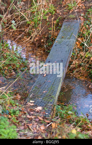 ländlicher Weg Kreuzung Brücke für kleinen Bach Stockfoto