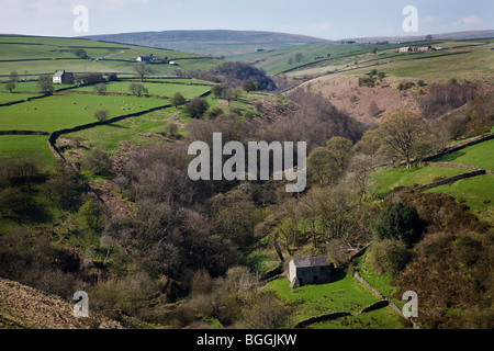 Oberen Dove Valley in der Nähe von Hollinsclough, Peak District. Stockfoto