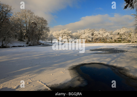 Keston Teich, Winter-Szene. Stockfoto