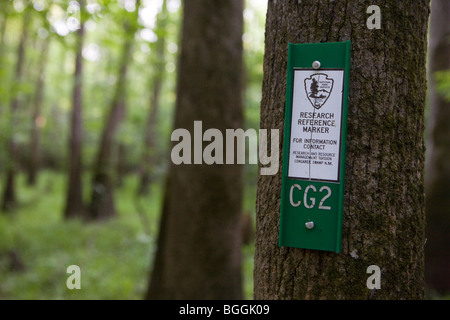 National Parks Service Forschung Referenz Marker CG2 angeschlossen an einen Baum, Congaree Nationalpark, in der Nähe von Columbia, South Carolina. Stockfoto