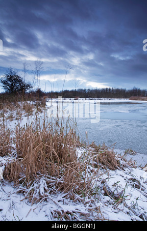 Ein Gefrorener Teich mit einem Patch von Schilf im Vordergrund auf einem kalten Wintermorgen Stockfoto