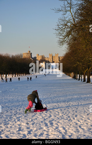 Schlittenfahren auf The Long Walk im Winterschnee, Schloss Windsor, Windsor, Berkshire, England, Vereinigtes Königreich Stockfoto