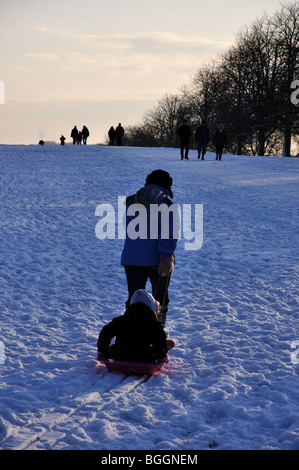 Schlittenfahren auf The Long Walk im Winterschnee, Schloss Windsor, Windsor, Berkshire, England, Vereinigtes Königreich Stockfoto