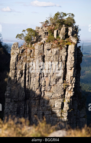 Pinnacle Rock, Drakensberg Randstufe, zentral gelegen in der Panorama-Tourismus-Region von Mpumalanga Stockfoto