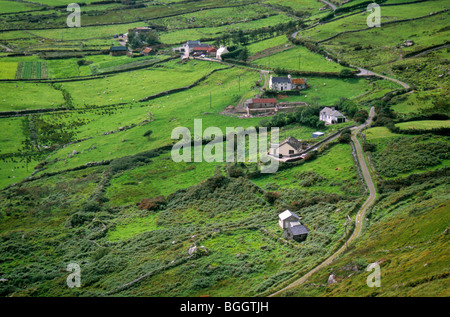 Irische Landschaft der Häuser und Felder, Ring of Kerry, in der Nähe von Caherdaniel, County Kerry, Irland Stockfoto