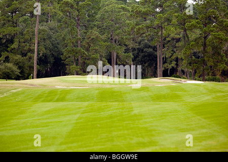 Golfplatz - Jekyll Island, Georgia USA Stockfoto