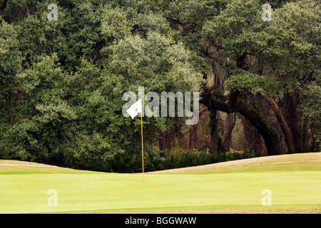 Golfplatz - Jekyll Island, Georgia USA Stockfoto