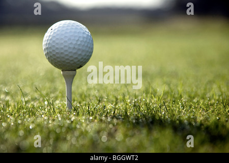 Nahaufnahme der Golfball auf Tee - Jekyll Island, Georgia USA Stockfoto