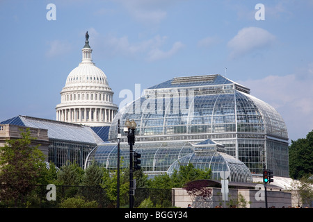 US Botanic Gardens mit U.S. Capitol in Washington, D.C. Hintergrund Stockfoto