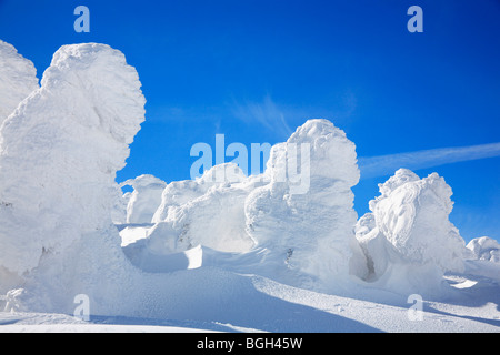 Berge von Schnee, Yamagata Präfektur, Japan Stockfoto