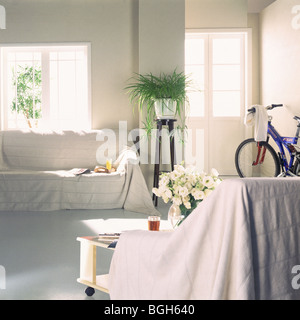 Wohnzimmer mit Sofas und Fahrrad Stockfoto