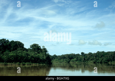 Rio Yavari, Peru, Südamerika Stockfoto