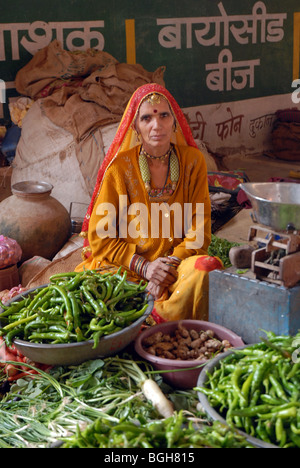 Rajasthani Frau arbeiten an ihrem Marktstand, die sitzen Blick in die Kamera Stockfoto