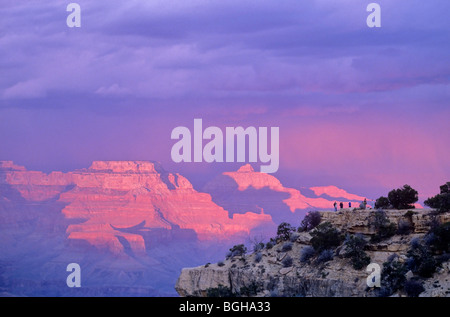 Menschen auf dem South Rim in der Nähe von Powell Memorial und Hopi Point in Grand Canyon National Park, Arizona, USA Stockfoto