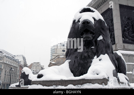 Löwe am Fuße des Nelson Säule am Trafalgar Square im Zentrum von London mit Schnee bedeckt Stockfoto