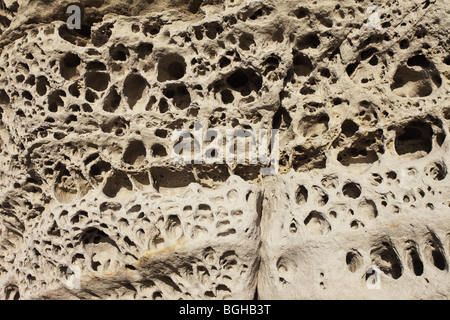 Fels erodiert Detail bekannt als Tafoni, Elgol Isle Of Skye Schottland Stockfoto