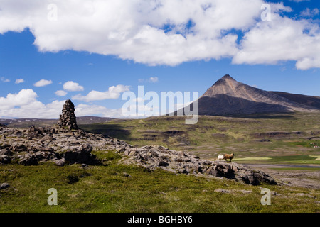 Schafe in den Bergen, Cairn und den Berg Baula im Hintergrund.  Westlich von Island neben Route 1 (Ringstraße). Stockfoto