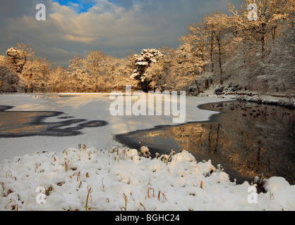 Keston Teiche Winter-Szene. Stockfoto