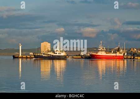 Hafen von Kirkwall auf Orkney Festland, Highland Region Schottlands.  SCO 5808 Stockfoto