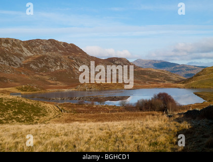 Llynnau Cregennen, in der Nähe Ortszentrum, Snowdonia-Nationalpark, Gwynedd, Wales UK Stockfoto