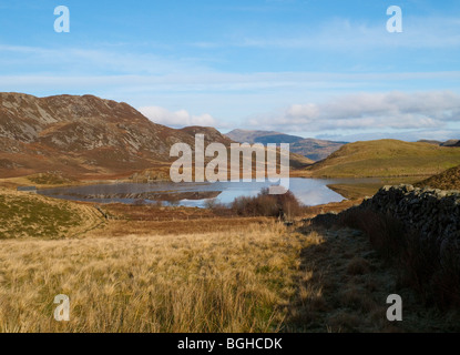 Llynnau Cregennen, in der Nähe Ortszentrum, Snowdonia-Nationalpark, Gwynedd, Wales UK Stockfoto