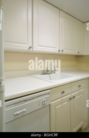 Geschirrspüler und Spülbecken in monochromen Küche Stockfoto