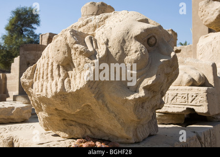 Reste von einem geschnitzten Löwenkopf an der Wand am Tempel von Montu bei Tod, Niltal südlich von Luxor, Ägypten Stockfoto