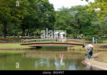 Samstag Nachmittag in Yoyogi Park, Harajuku, Tokio, Japan Stockfoto