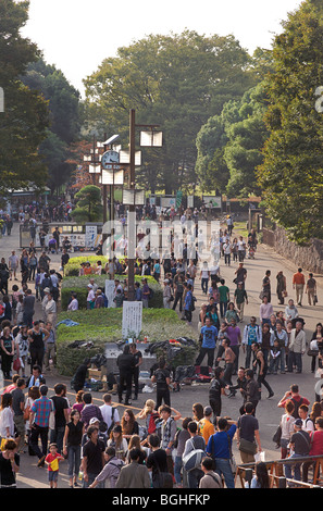 Samstag Nachmittag Menschenmenge am Harajuku Eingang zum Yoyogi-Park, Tokyo, Japan Stockfoto