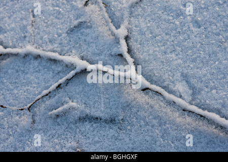 Nahaufnahme mit einem gebrochenen Ast eines Baumes im Winter mit Schnee bedeckt. Stockfoto