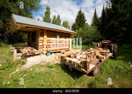 Traktoranhänger voller Holzklötze, die Reste von Bauarbeiten Blockhaus, Finnland Stockfoto