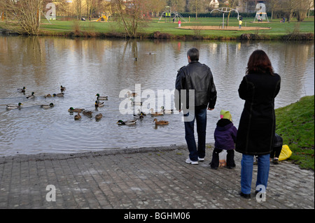 Erwachsene und Kinder auf der Suche und füttern die Enten in Parthenay Deux-Sèvres Frankreich Stockfoto