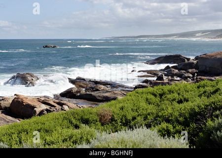 Kleine Pflanzen und Felsen Punktierung Redgate Strand in der Nähe von Margaret River in Western Australia. Stockfoto