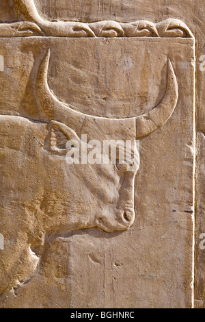 Nahaufnahme von geschnitzten Relief von Bulls Kopf auf einen Block in das Freilichtmuseum am Karnak-Tempel, Luxor, Ägypten Stockfoto