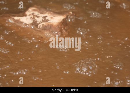 Brodelnde Schlamm-Pool in Caldeira Velha Park. Insel Sao Miguel, Azoren, Portugal. Stockfoto