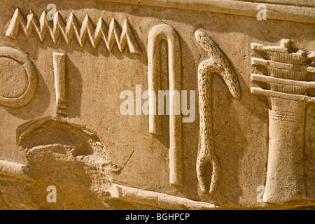 Nahaufnahme von geschnitzten Relief der Hieroglyphen in einem Block in das Freilichtmuseum am Karnak-Tempel, Luxor, Ägypten Stockfoto