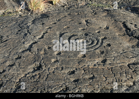 Petroglyph, Mauna Loa Petroglyph Trail Stockfoto