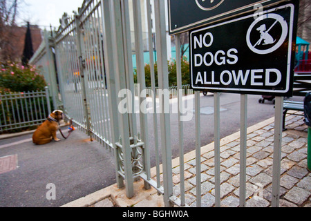 Keine Hunde erlaubt in einem öffentlichen Park in Greenwich Village in New York City Stockfoto