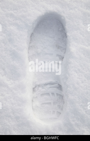 Eine einzelne Präsenz im Schnee. UK 2010 Stockfoto